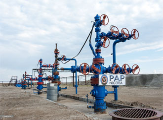 Wellhead Maintenance Services